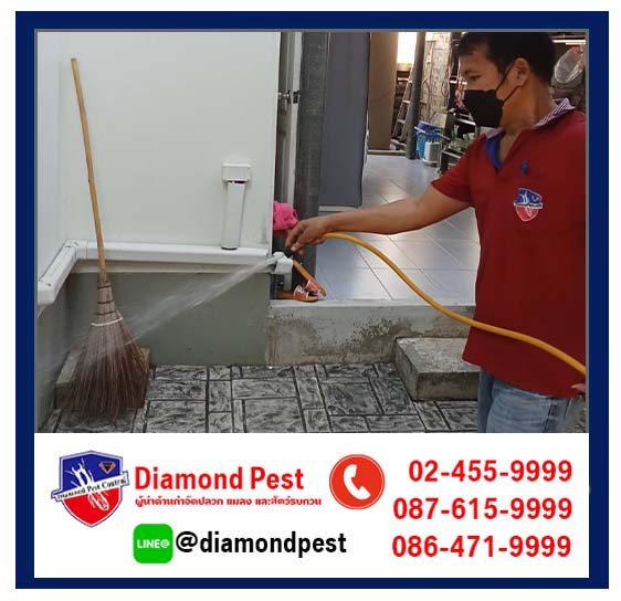 diamondpest