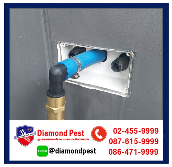 diamondpest