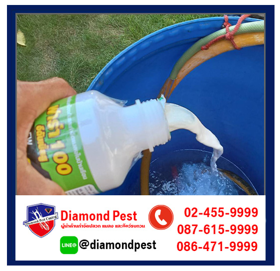 diamondpest