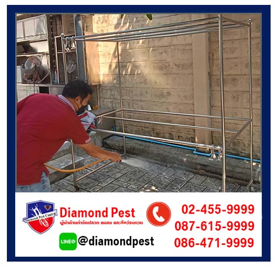 diamondpest