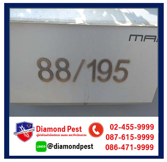 diamondpest