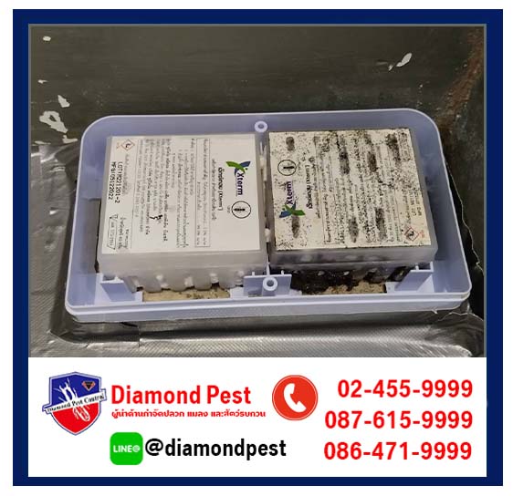 diamondpest