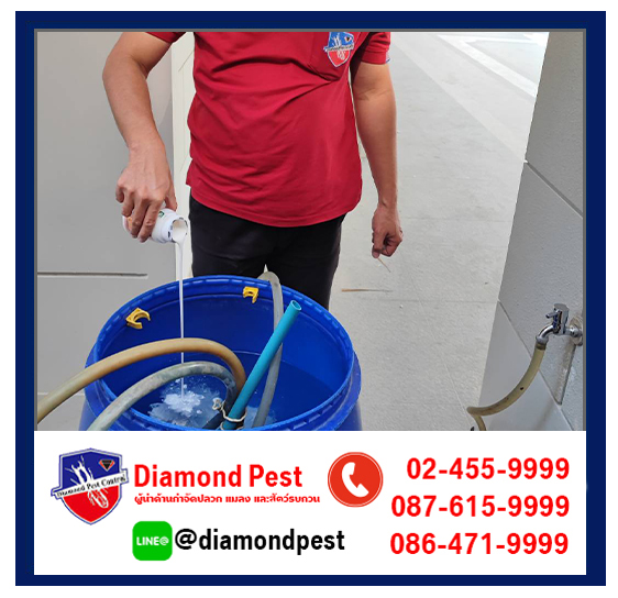 diamondpest