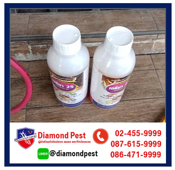 diamondpest