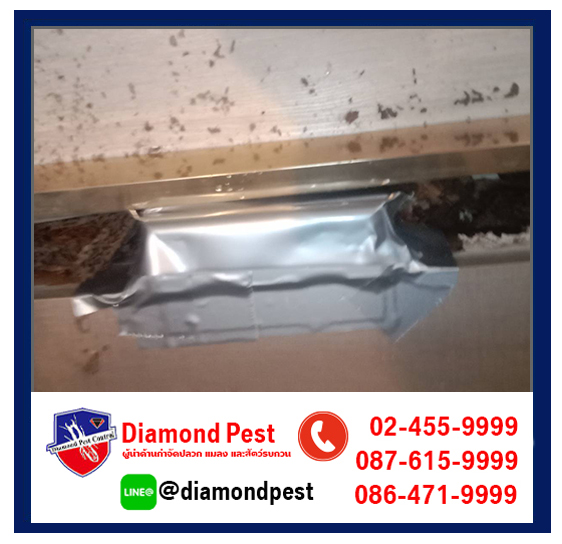 diamondpest