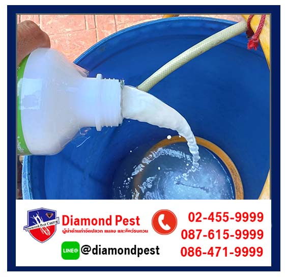 diamondpest