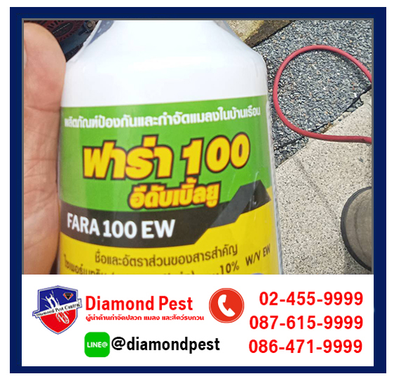 diamondpest