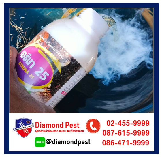 diamondpest