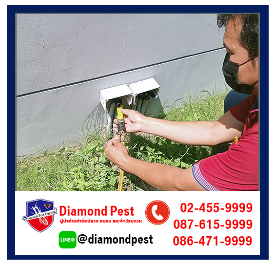diamondpest