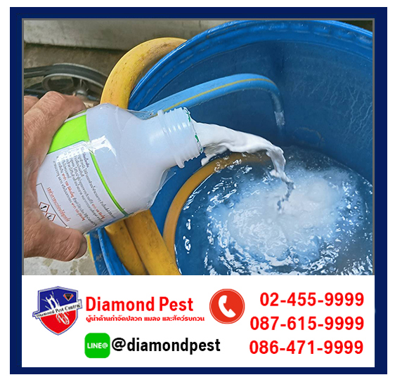 diamondpest