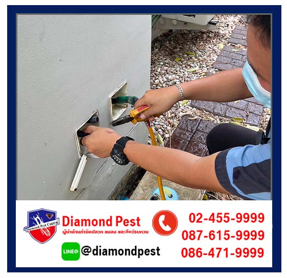 diamondpest