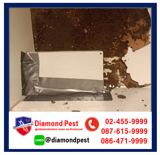 diamondpest