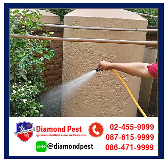 diamondpest
