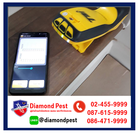 diamondpest