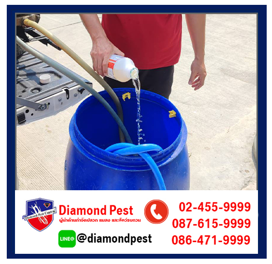 diamondpest