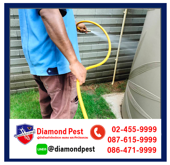 diamondpest