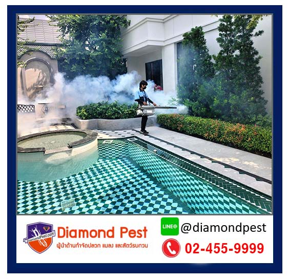 diamondpest