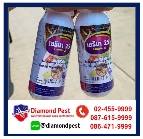 diamondpest