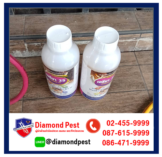 diamondpest