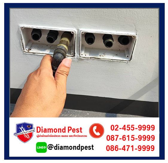 diamondpest