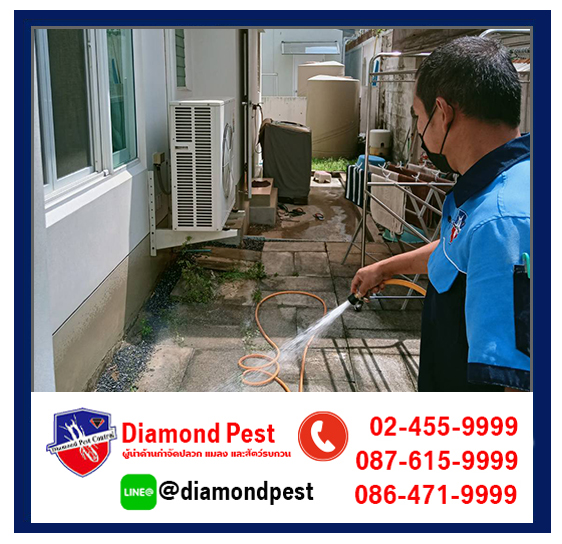 diamondpest