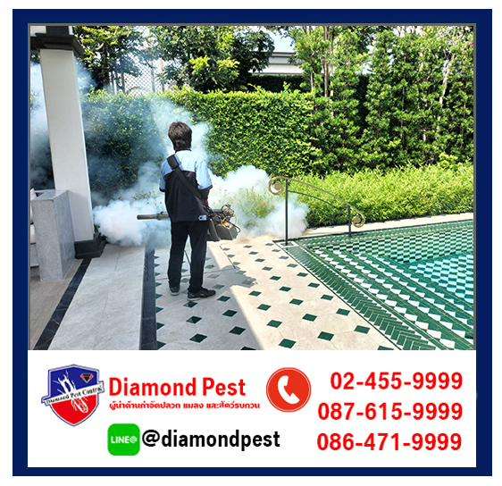 diamondpest