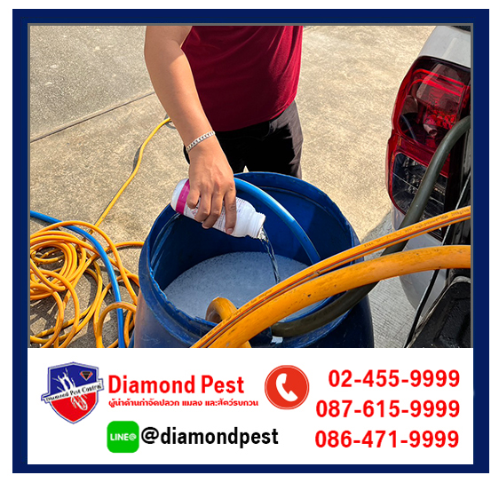 diamondpest