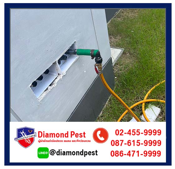 diamondpest