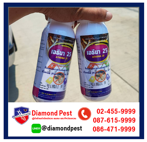 diamondpest