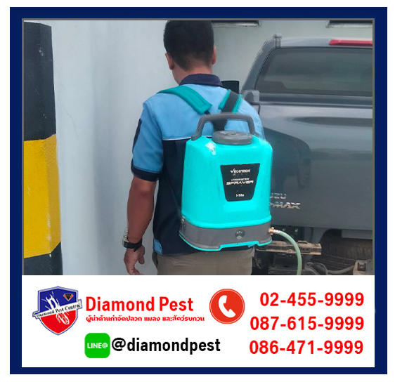 diamondpest