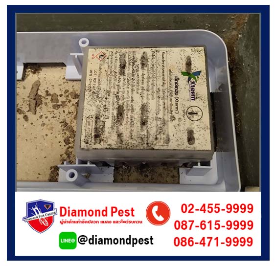diamondpest