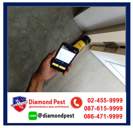 diamondpest