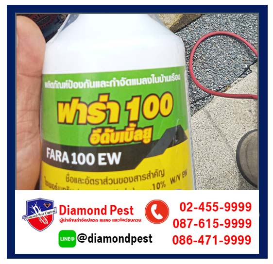 diamondpest