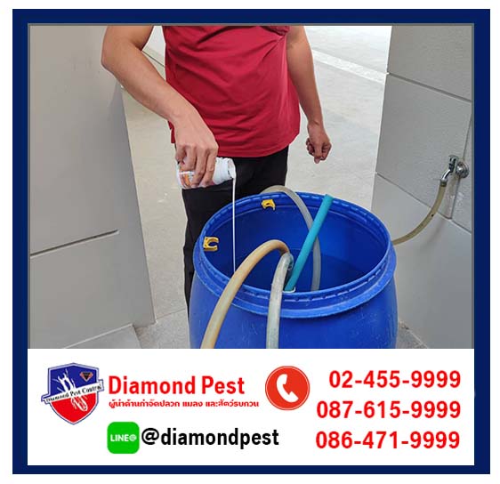 diamondpest