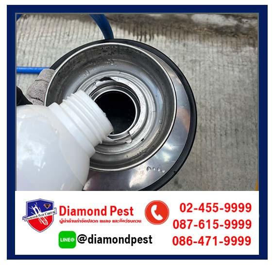 diamondpest