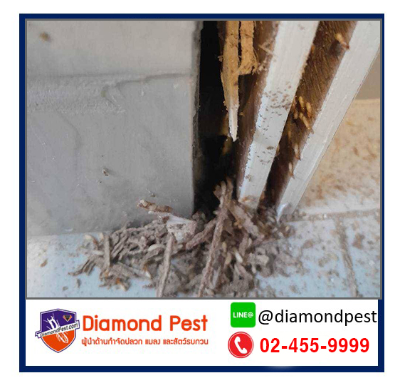 diamondpest