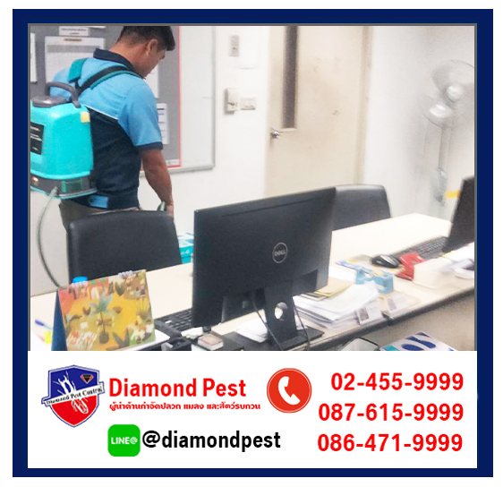 diamondpest