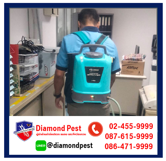 diamondpest