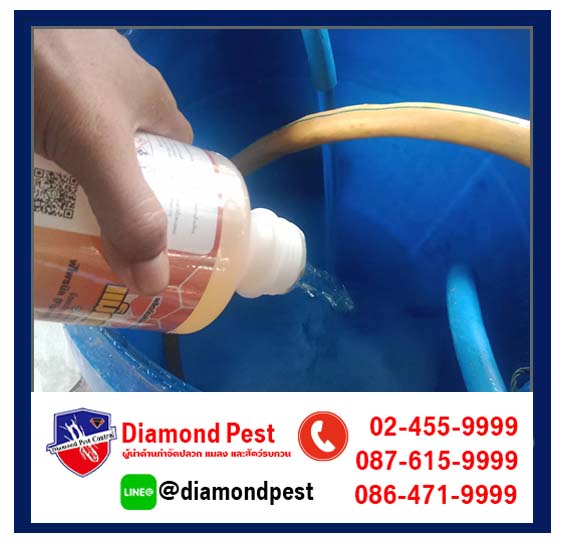 diamondpest