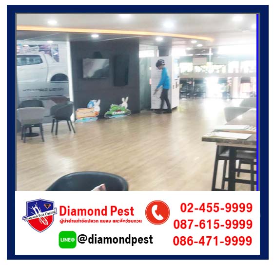 diamondpest