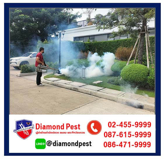 diamondpest