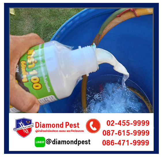 diamondpest