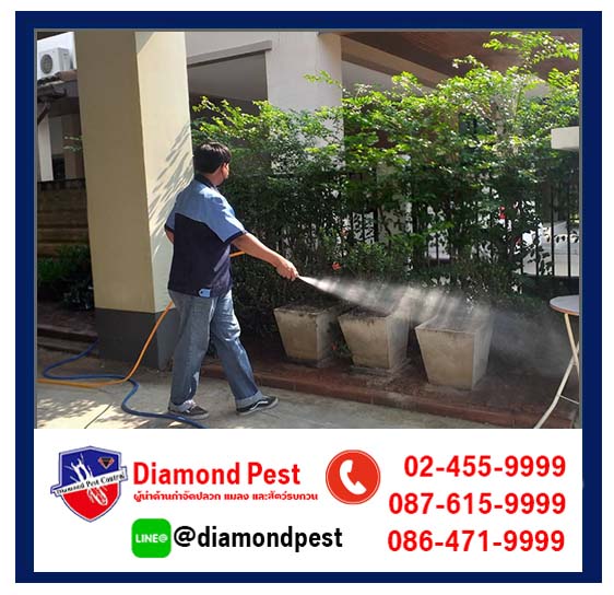 diamondpest