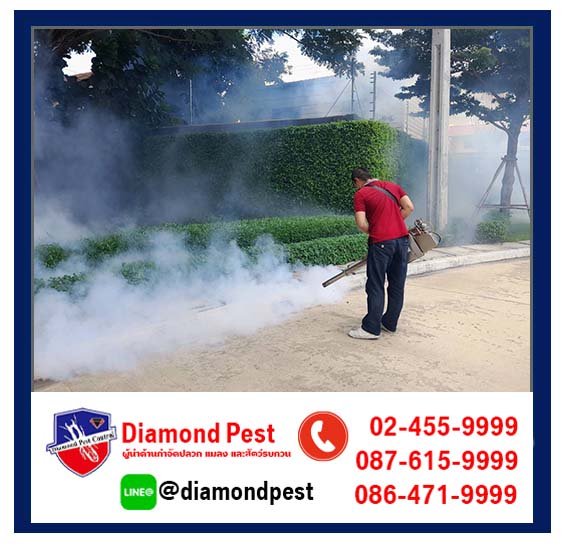 diamondpest