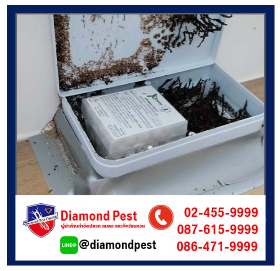 diamondpest