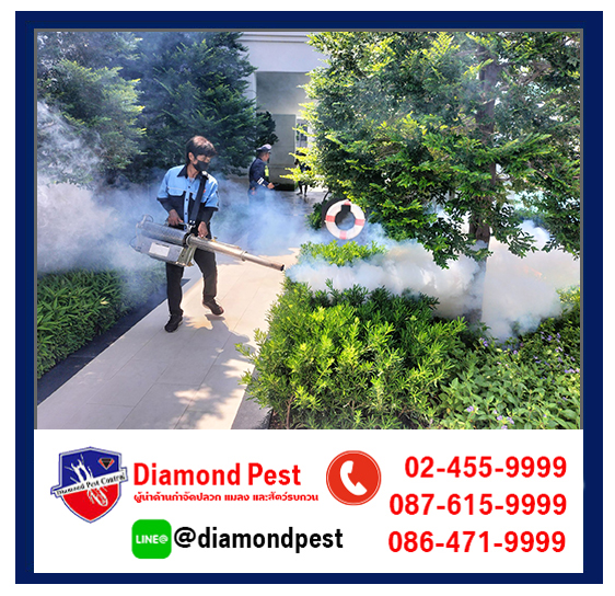 diamondpest