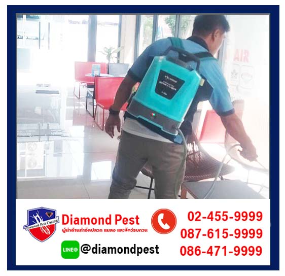 diamondpest