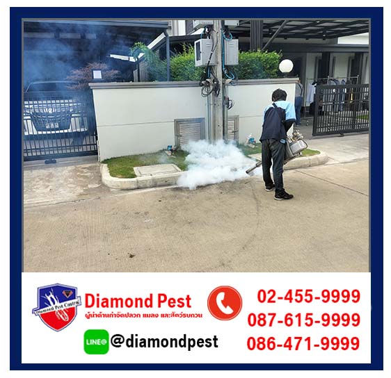 diamondpest