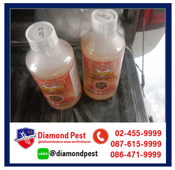 diamondpest