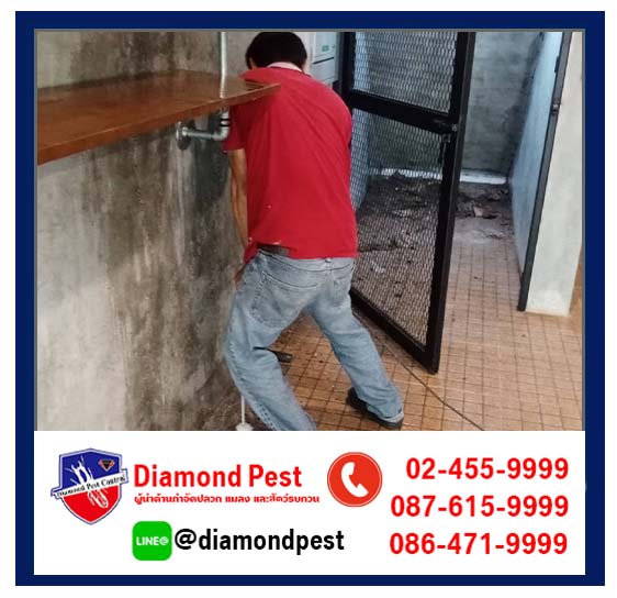 diamondpest
